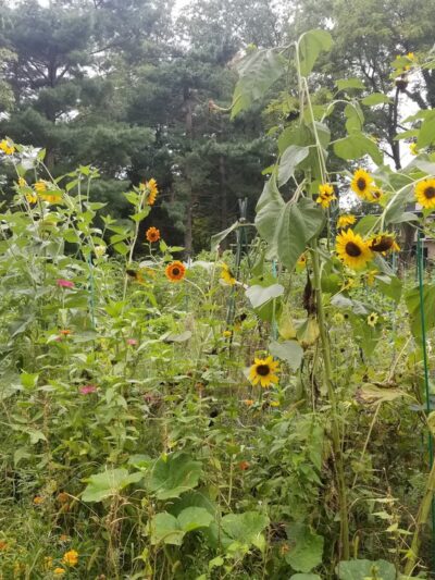 Packer Park - Ardmore, PA