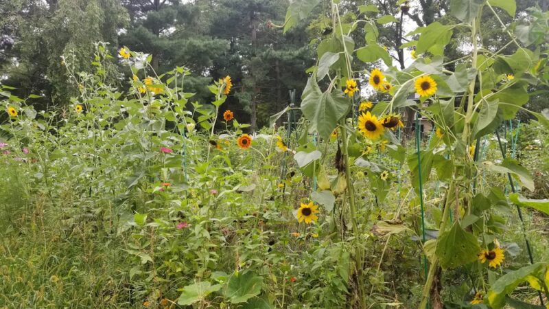 Packer Park - Ardmore, PA