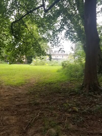 Packer Park - Ardmore, PA