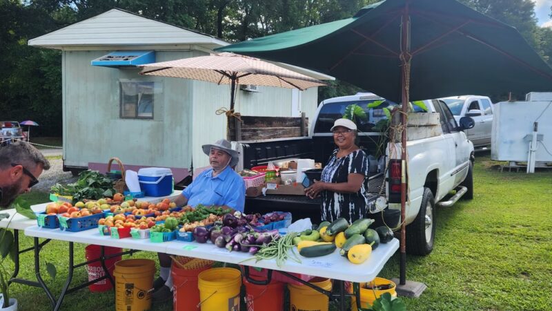 Dog Days Flea Market - Ardmore, TN