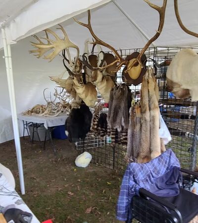 Dog Days Flea Market - Ardmore, TN