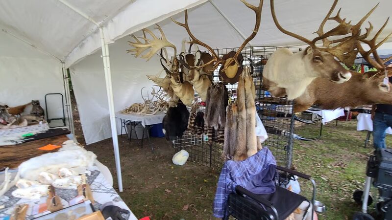 Dog Days Flea Market - Ardmore, TN