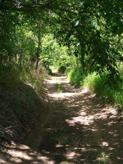 Arkansas City, KS Bike Trail - Arkansas City, KS