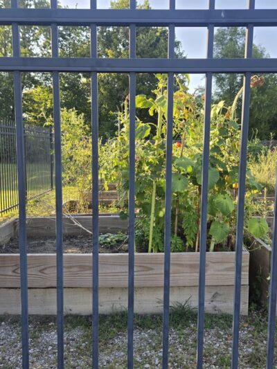 Forrest Park and Community Garden and Soccer Fields and Playground - Arlington, TN