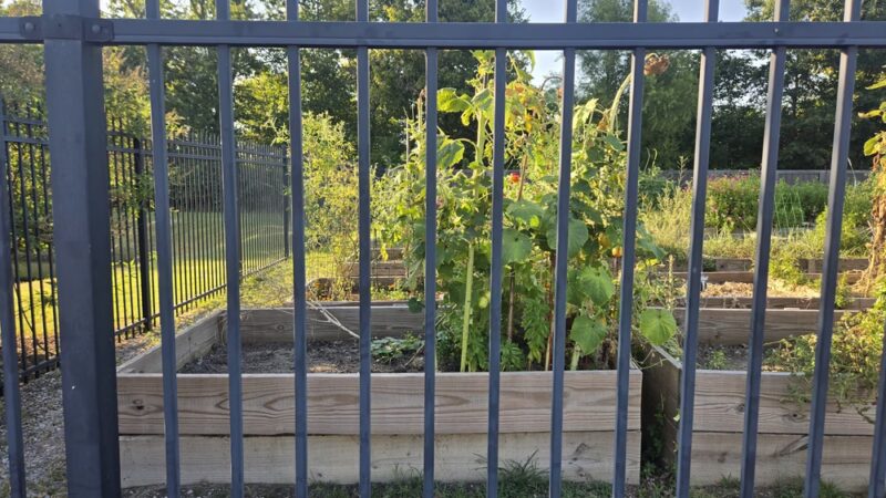 Forrest Park and Community Garden and Soccer Fields and Playground - Arlington, TN