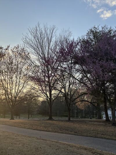Hughes-College Hill Park - Arlington, TN