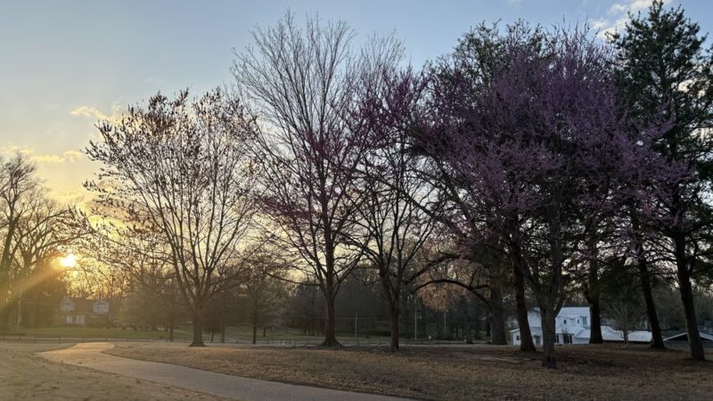 Hughes-College Hill Park - Arlington, TN
