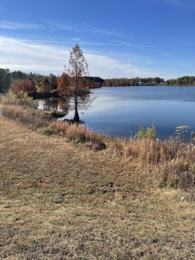 Water Plant Park - Arlington, TN