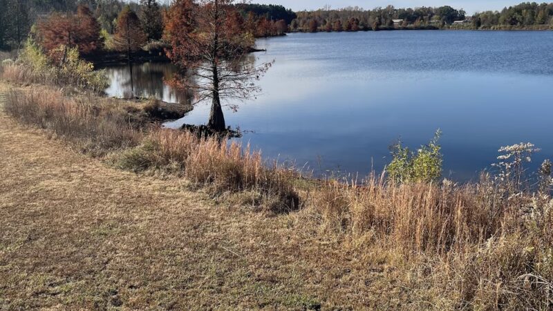 Water Plant Park - Arlington, TN