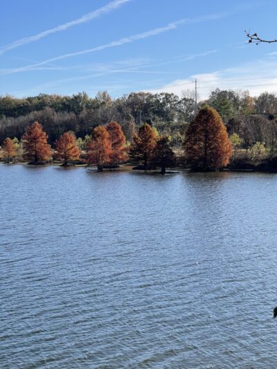 Water Plant Park - Arlington, TN