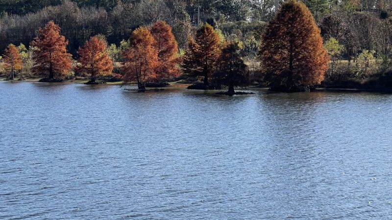 Water Plant Park - Arlington, TN