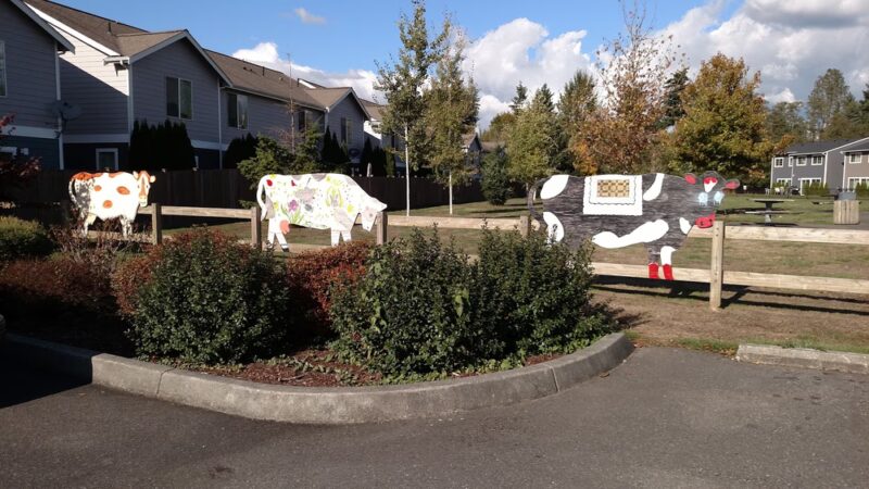 Jensen Park - Arlington, WA