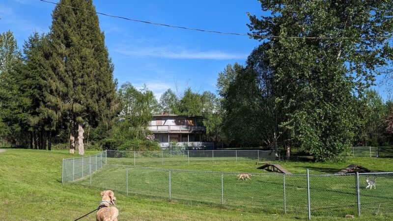 Offleash dog Park - Arlington, WA