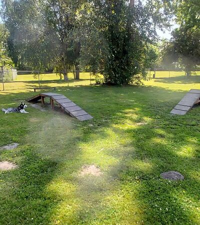 Offleash dog Park - Arlington, WA