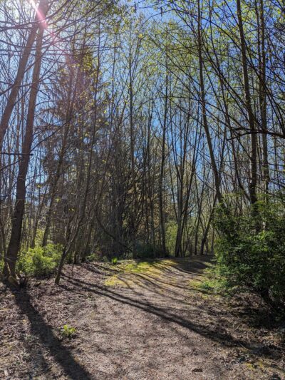 Pilchuck Park - Arlington, WA