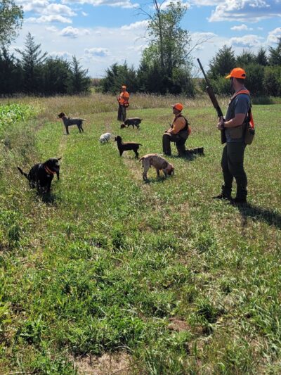 South Dakota Pheasant Acres - Armour, SD