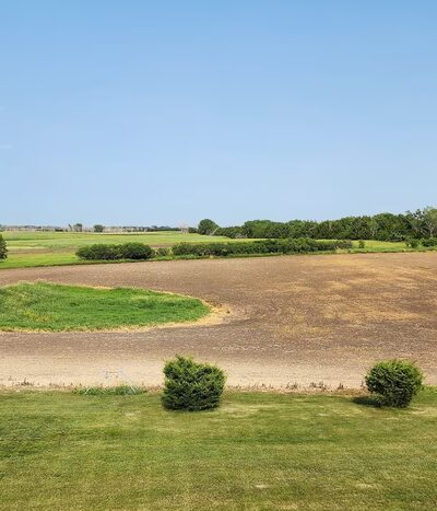 South Dakota Pheasant Acres - Armour, SD