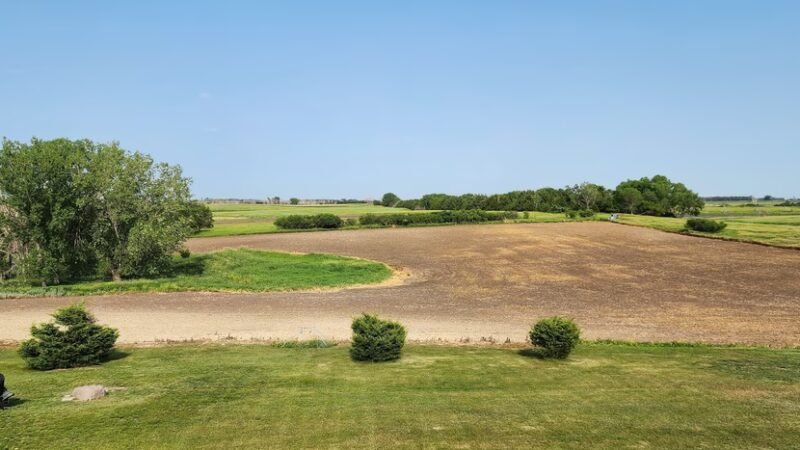 South Dakota Pheasant Acres - Armour, SD
