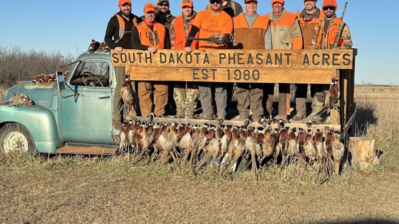 South Dakota Pheasant Acres - Armour, SD