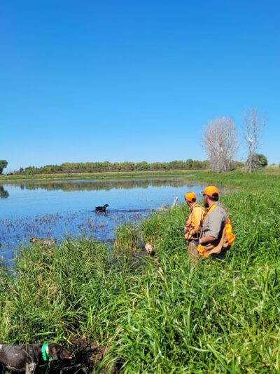 South Dakota Pheasant Acres - Armour, SD