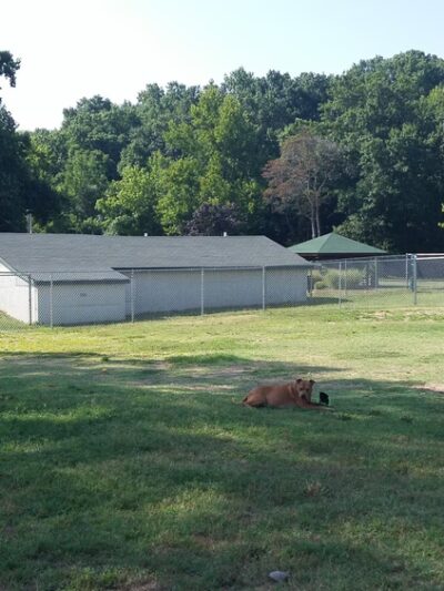 Ferd Lang Park - Arnold, MO