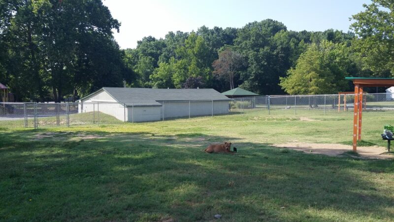 Ferd Lang Park - Arnold, MO