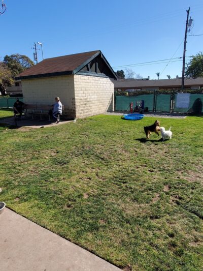 Elm Street Dog Park - Arroyo Grande, CA