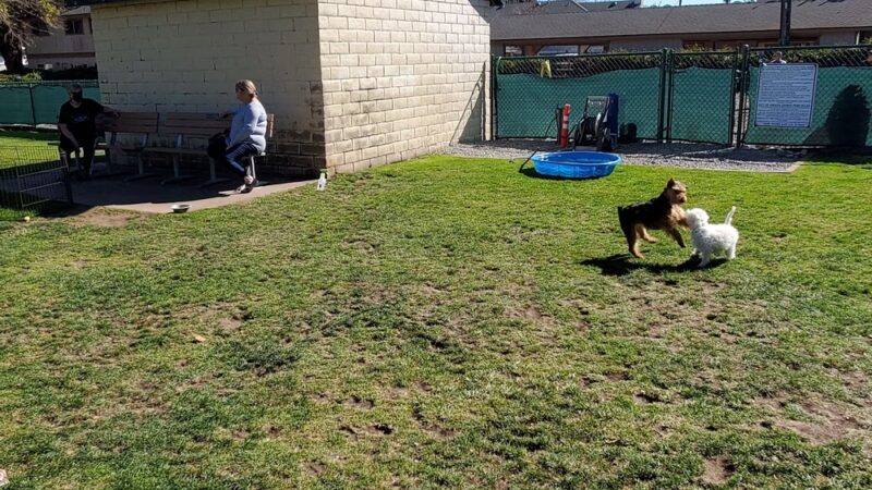 Elm Street Dog Park - Arroyo Grande, CA