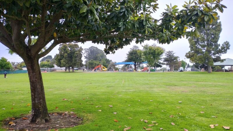Elm Street Dog Park - Arroyo Grande, CA