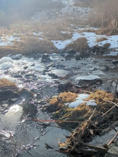Ralston Creek Trail - Arvada, CO