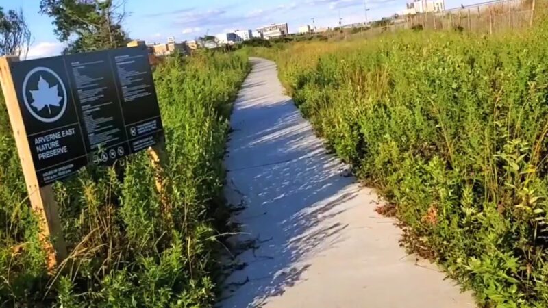 Beach 56th St Boardwalk Access - Arverne, NY