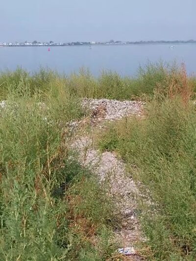 Brant Point Wildlife Sanctuary - Arverne, NY