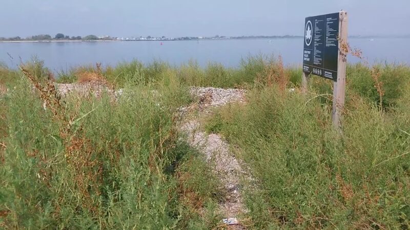 Brant Point Wildlife Sanctuary - Arverne, NY