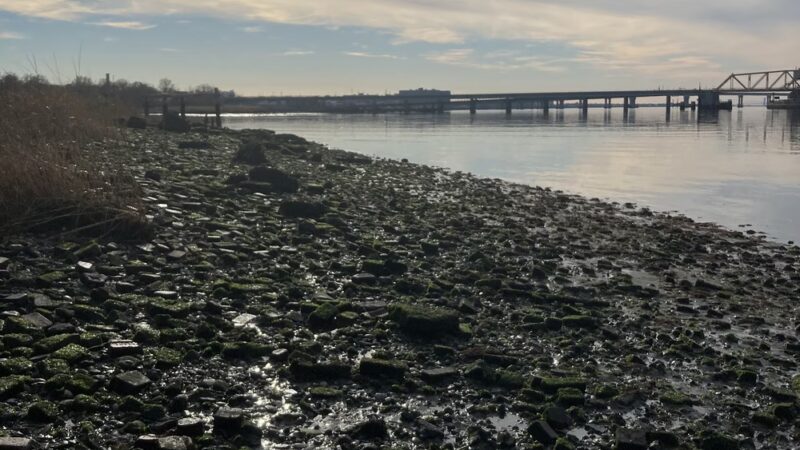 Brant Point Wildlife Sanctuary - Arverne, NY