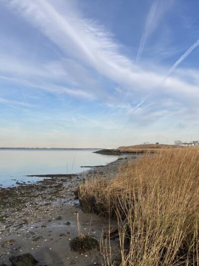 Brant Point Wildlife Sanctuary - Arverne, NY