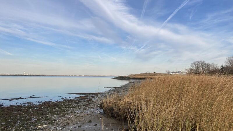 Brant Point Wildlife Sanctuary - Arverne, NY