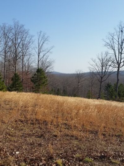 Clay Presnell Memorial Park - Asheboro, NC