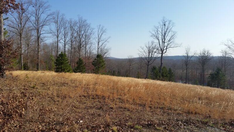 Clay Presnell Memorial Park - Asheboro, NC