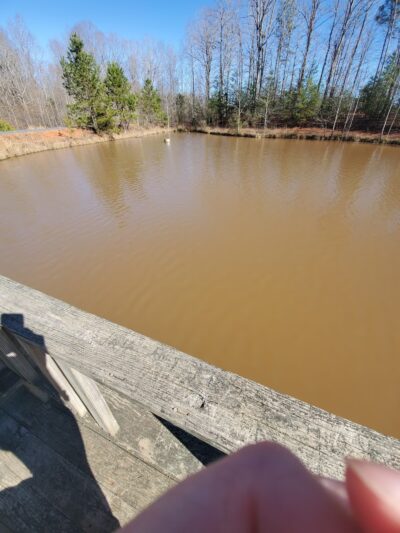 Clay Presnell Memorial Park - Asheboro, NC