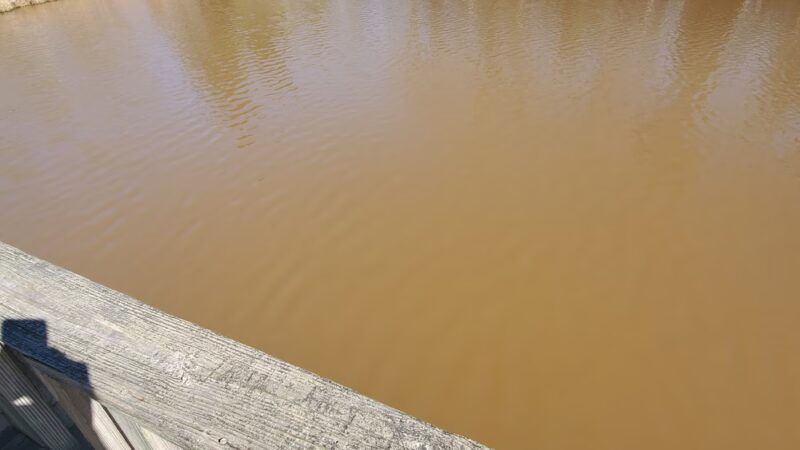 Clay Presnell Memorial Park - Asheboro, NC