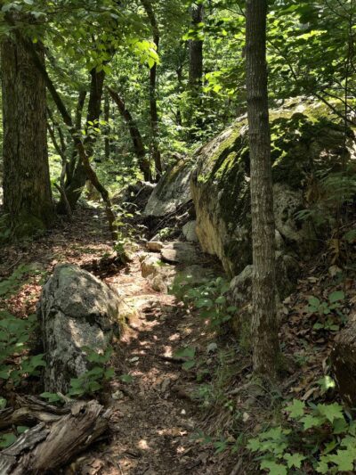Uwharrie - Walkers Creek Trailhead - Asheboro, NC