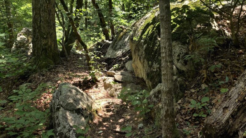 Uwharrie - Walkers Creek Trailhead - Asheboro, NC