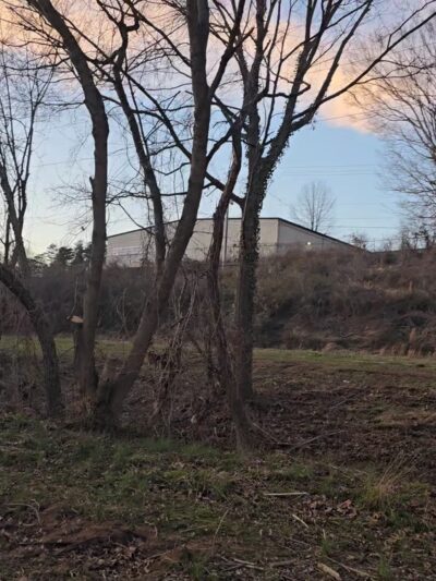 Caledonia Park - Asheville, NC