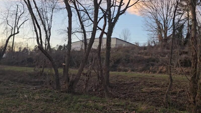 Caledonia Park - Asheville, NC