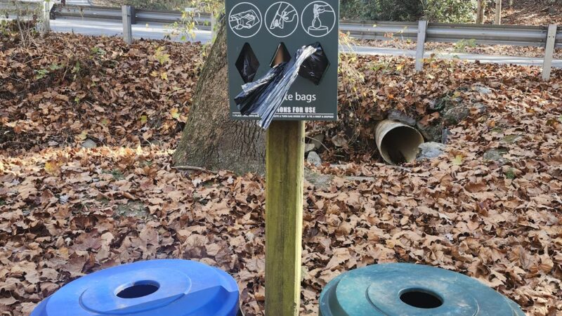 Caledonia Park - Asheville, NC