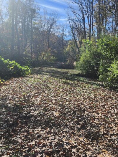 Caledonia Park - Asheville, NC