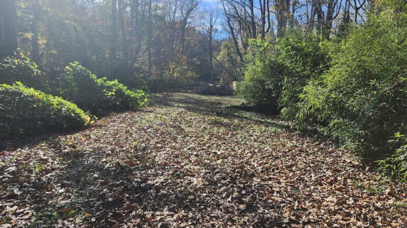 Caledonia Park - Asheville, NC