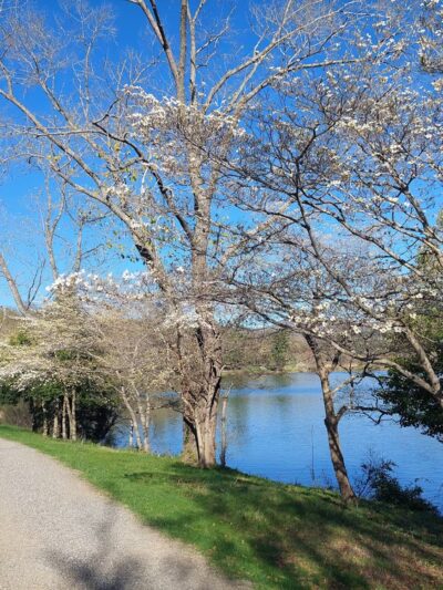 Lake View Park - Asheville, NC