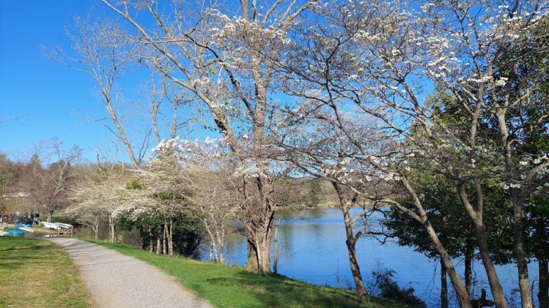 Lake View Park - Asheville, NC