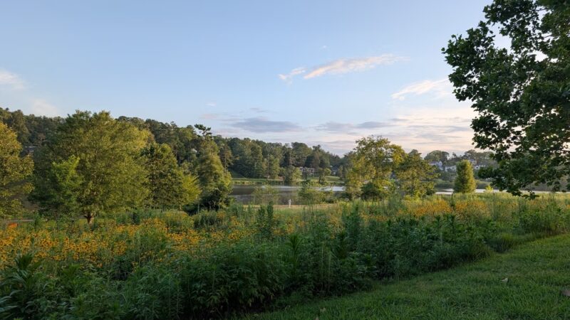 Lake View Park - Asheville, NC